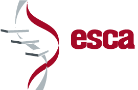 Esca Steel